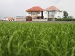 دستورالعمل ماده10آیین نامه اجرایی قانون اصلاح قانون حفظ کاربری اراضی زراعی و باغها