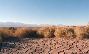 ابطال-تشخیص-موات-بودن-زمین-و-آثار-آن