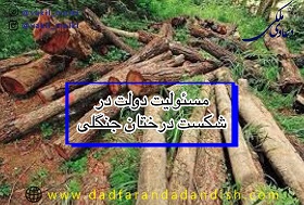 مسئولیت-دولت-در-سقوط-درختان-جنگلی